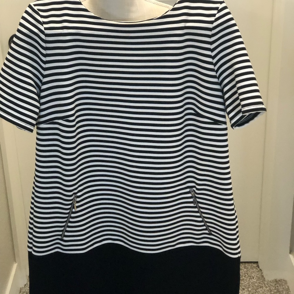 Wallis Dress size 14 NWT - Picture 5 of 10